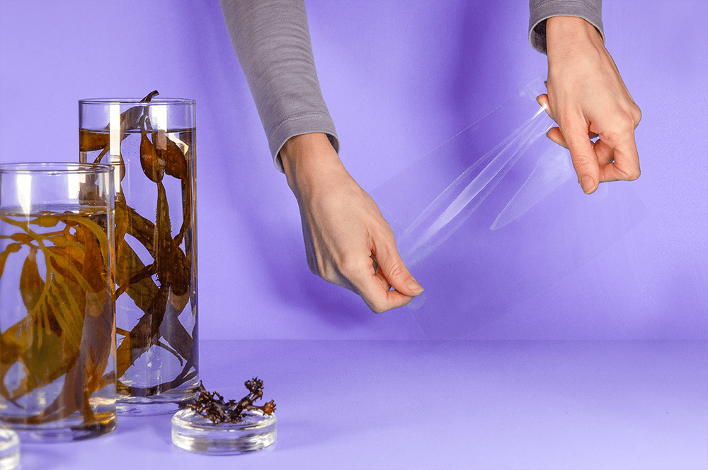Julia Marsh "Sway" two hands holding plastic wrap made from seaweed with two glass jars of seaweed