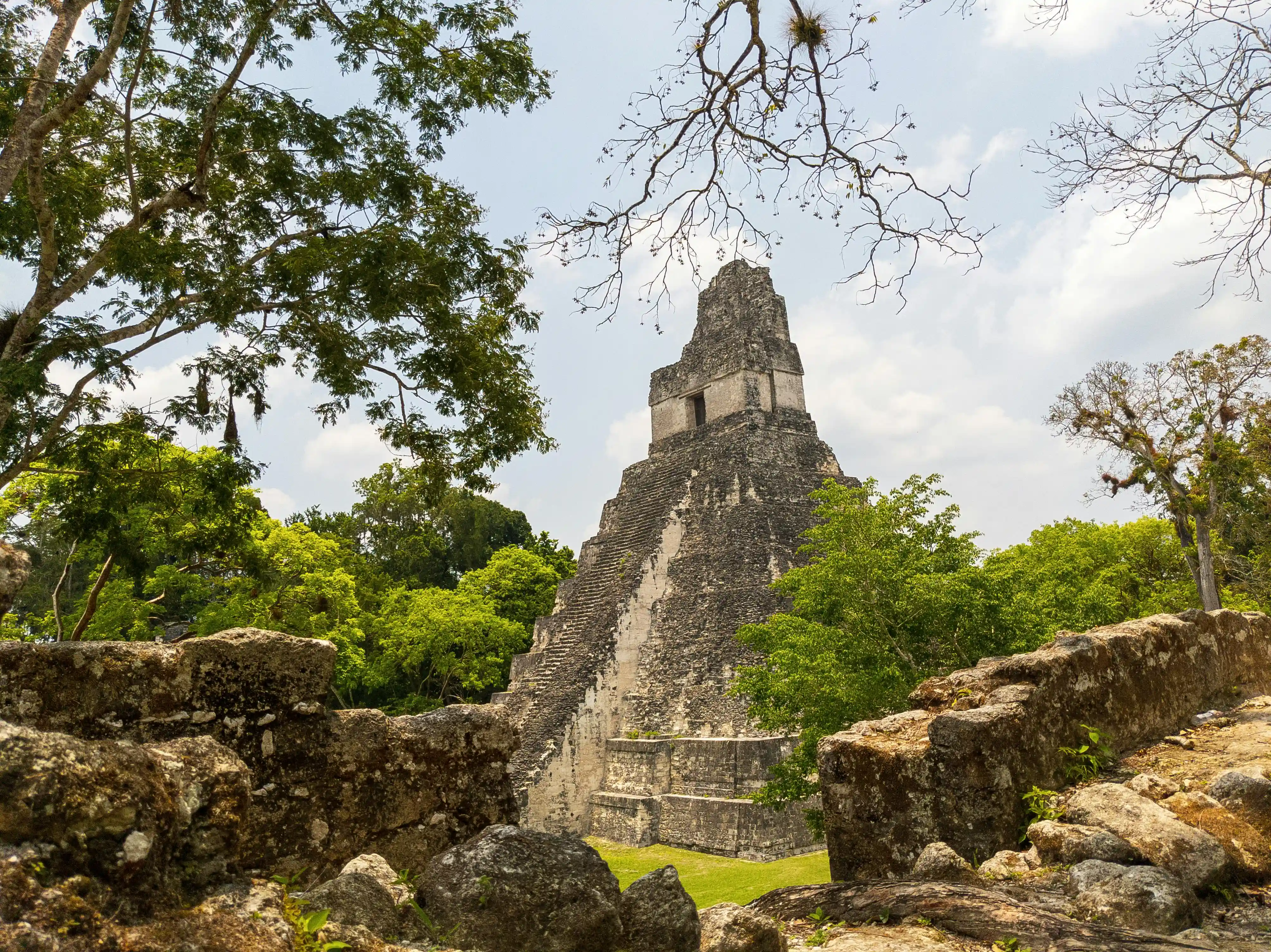 Guatemala'nın Petén bölgesindeki Tikal'de yer alan antik Maya piramidi