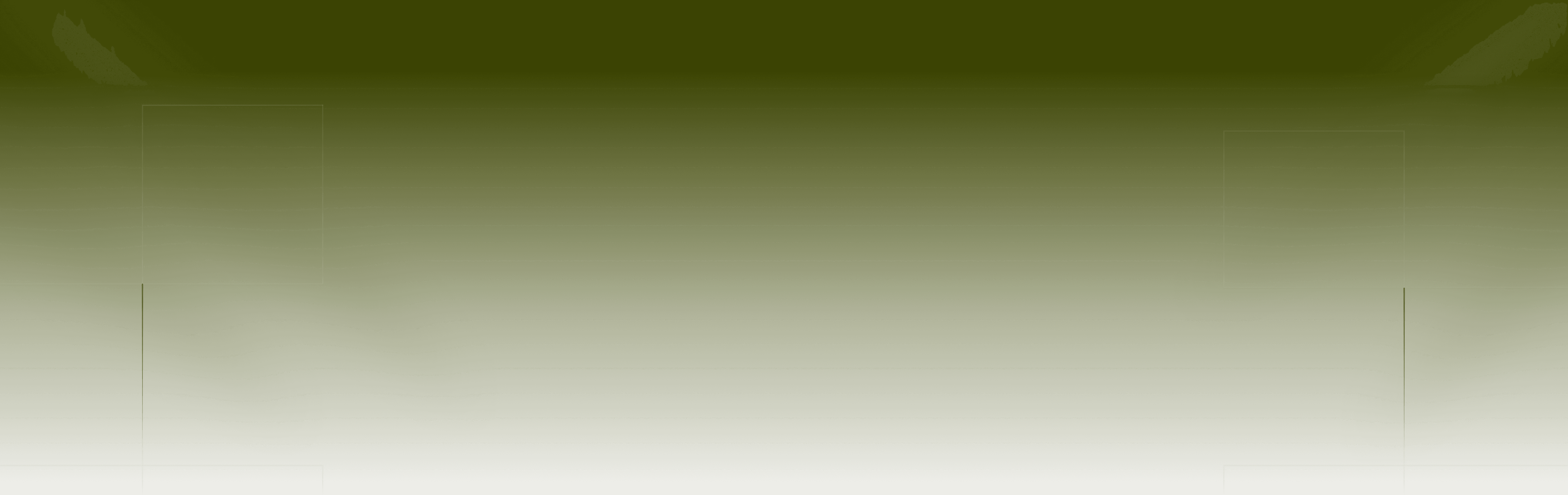 Gradient BG