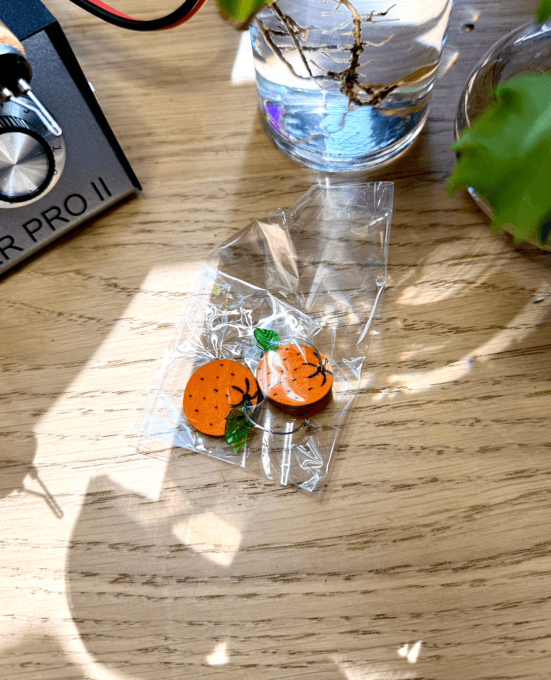A pair of wood burned earings depicting Oranges with a dangling charm in the shape of a leaf. The earrings are surrounded by plants, drift wood, and the colwood pro 2 wood burner.