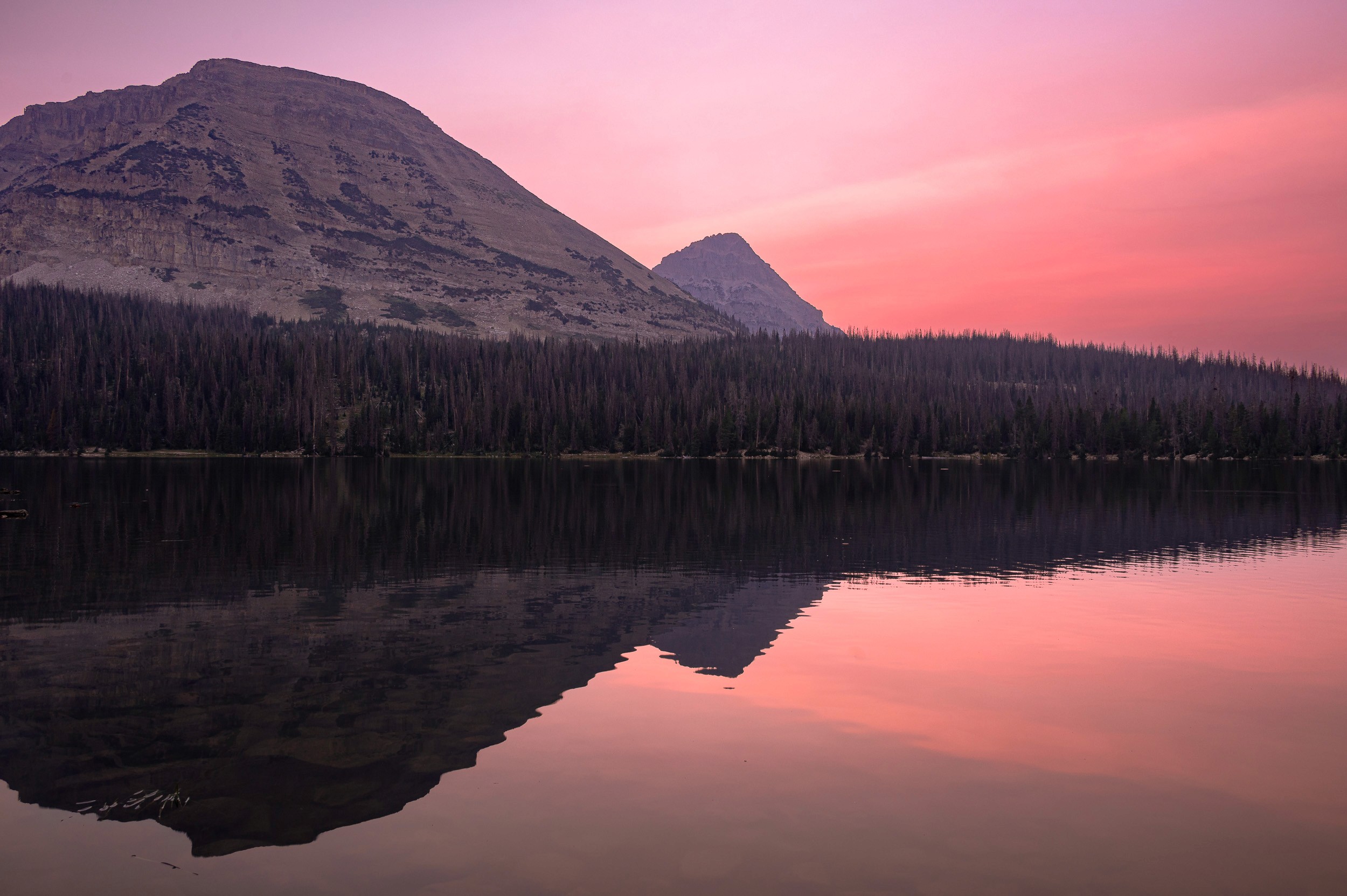 Pink hues during a late summer sunrise at Mirror Lake Utah
