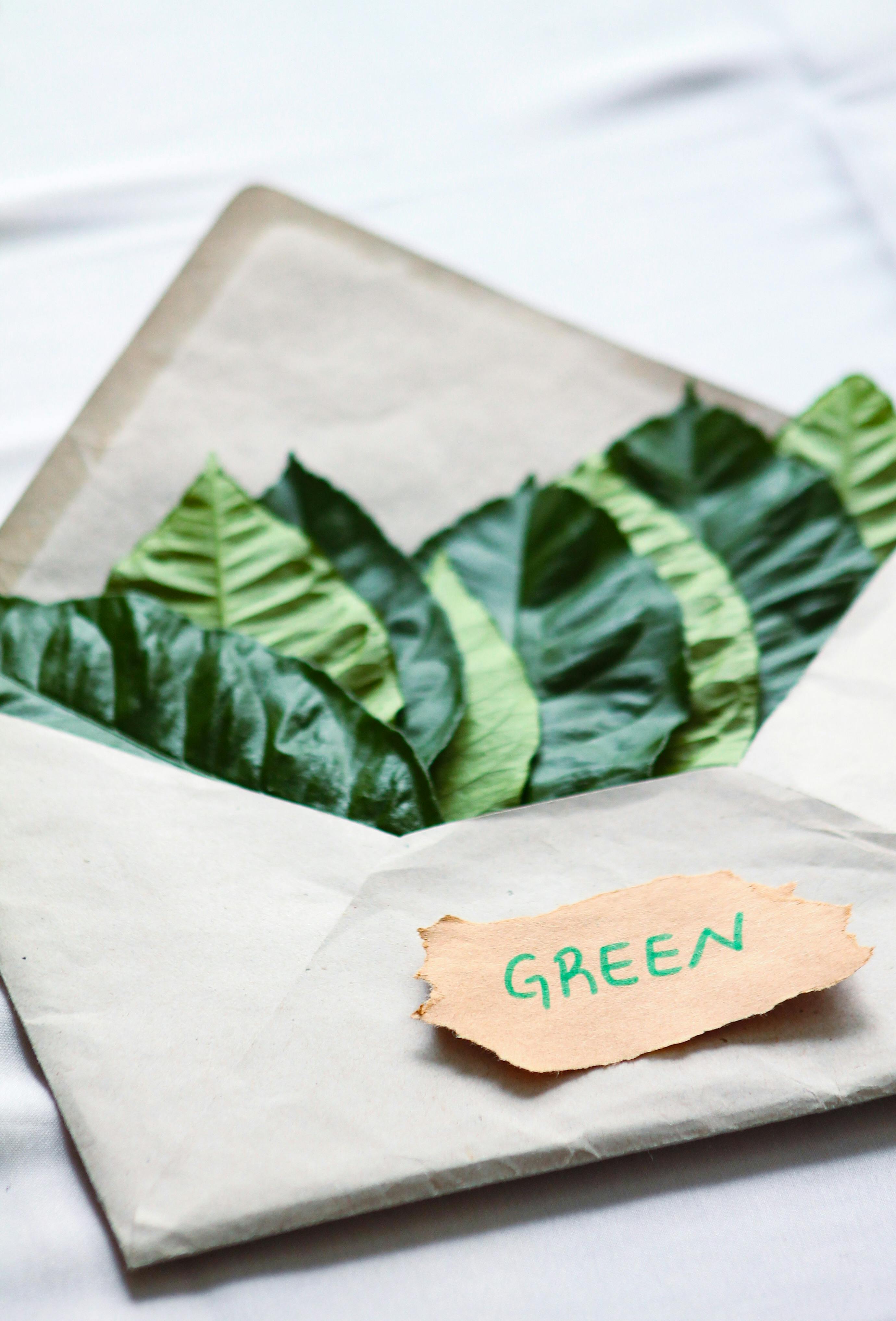 Sustainable Product Alternatives