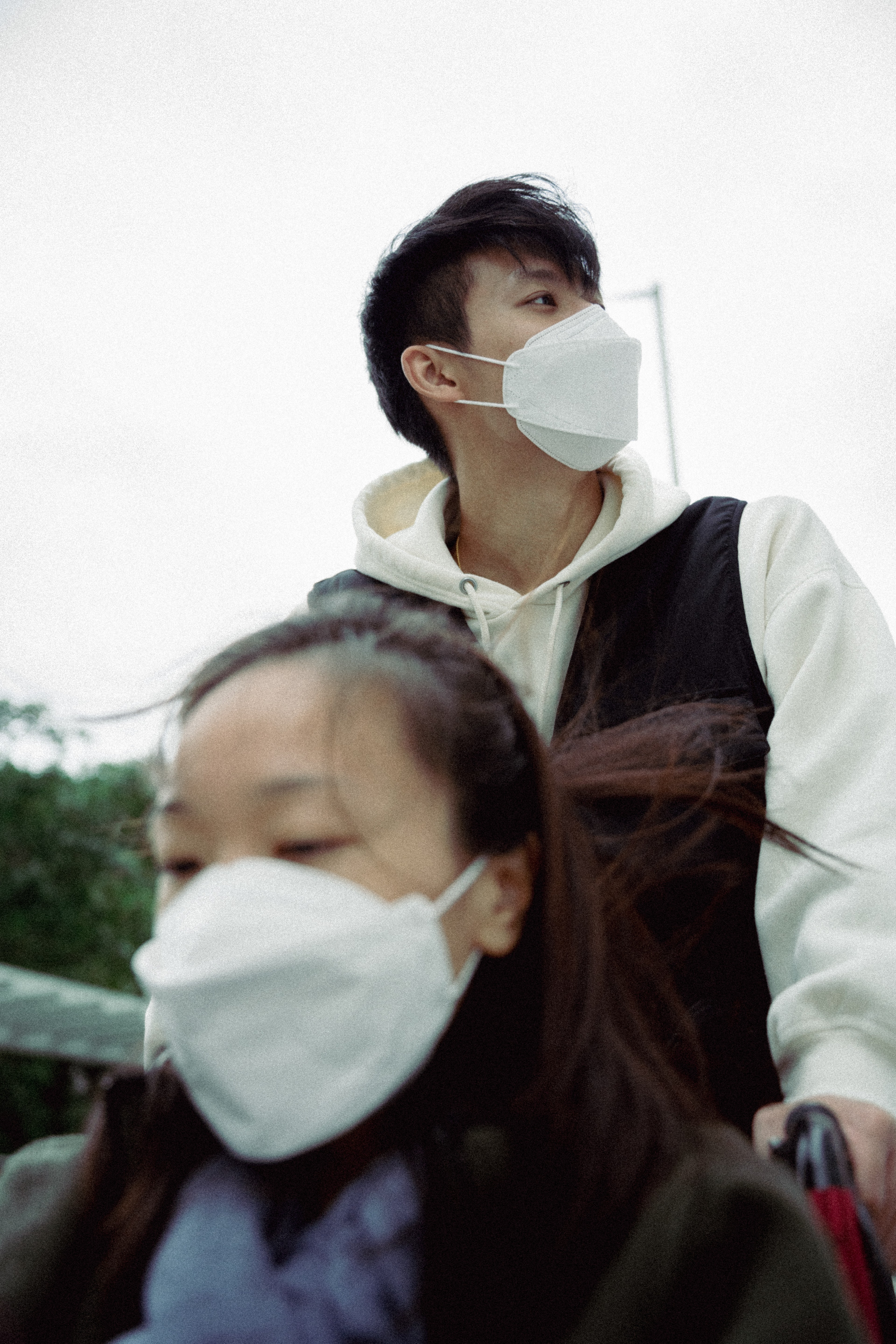 wind breeze, tree move