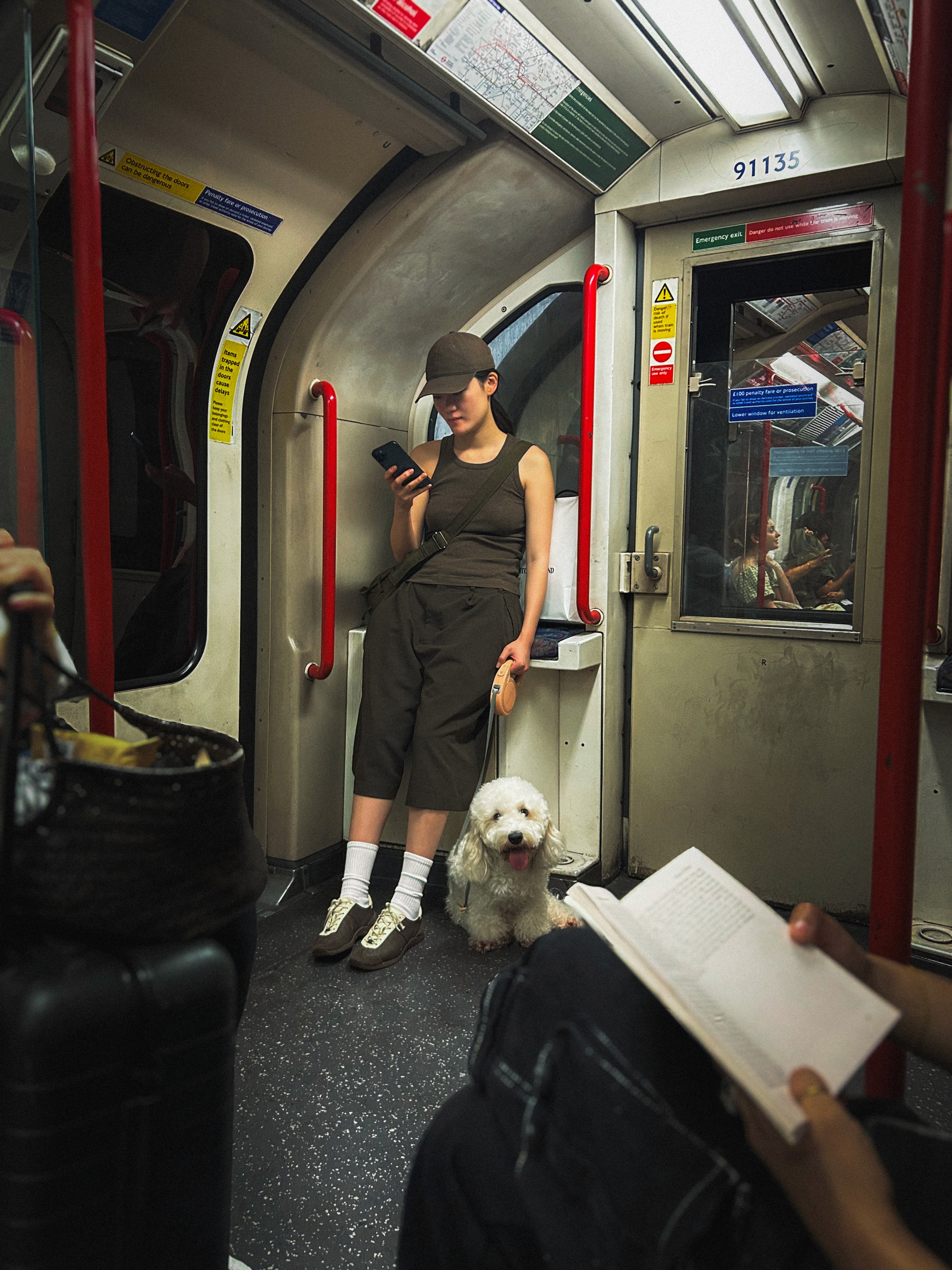 A close-up of a hand wearing multiple decorative rings against a blue background.