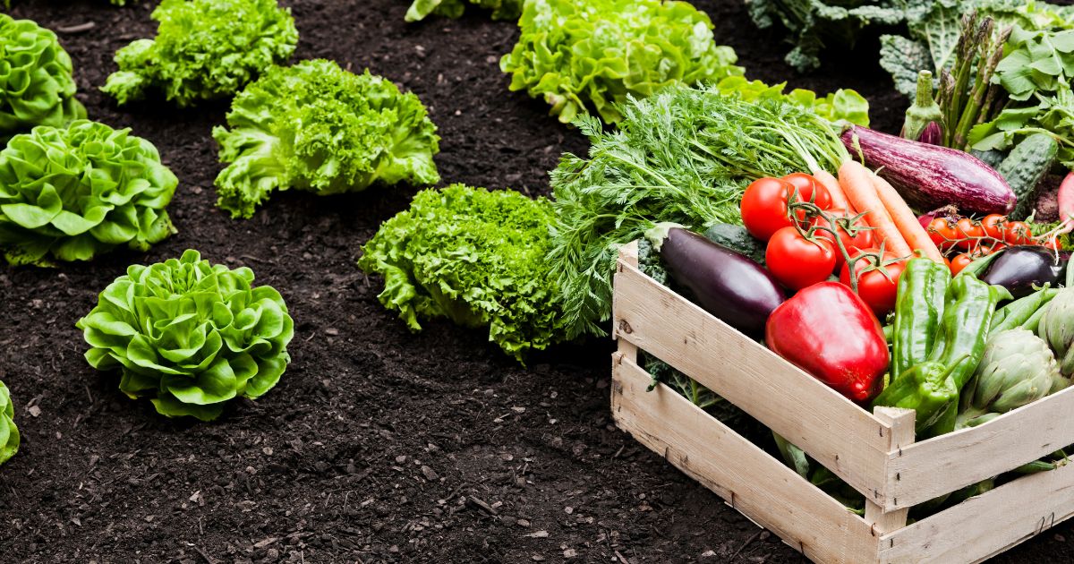Agriculture