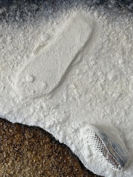 Fortress Europe, 2023. Mixed media on cardboard. by Barbara Walker.