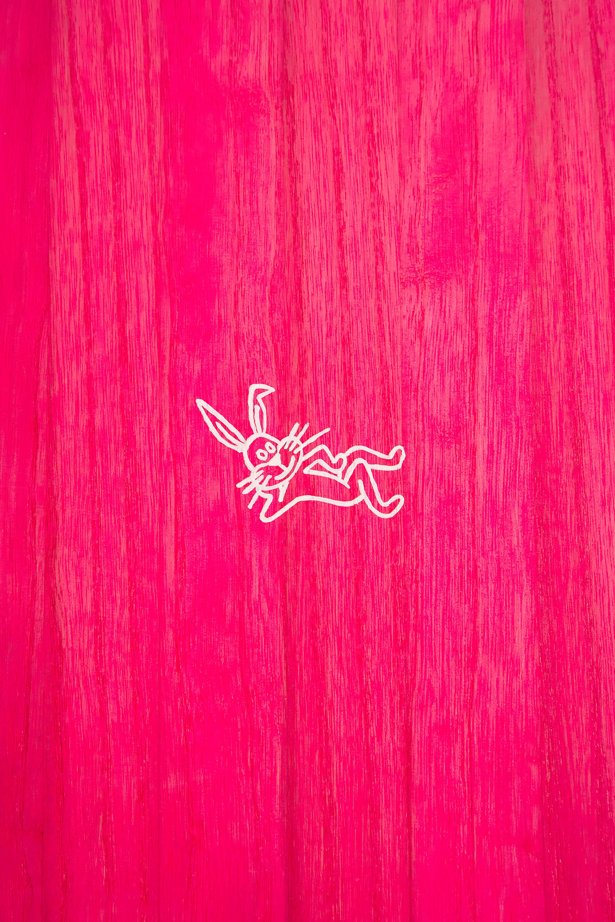 Hand painted rabbit on wooden surfboard