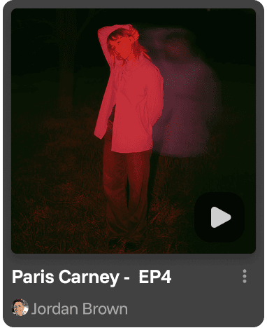Close-up of a dark green leaf showing its textured surface and central vein against a muted background.