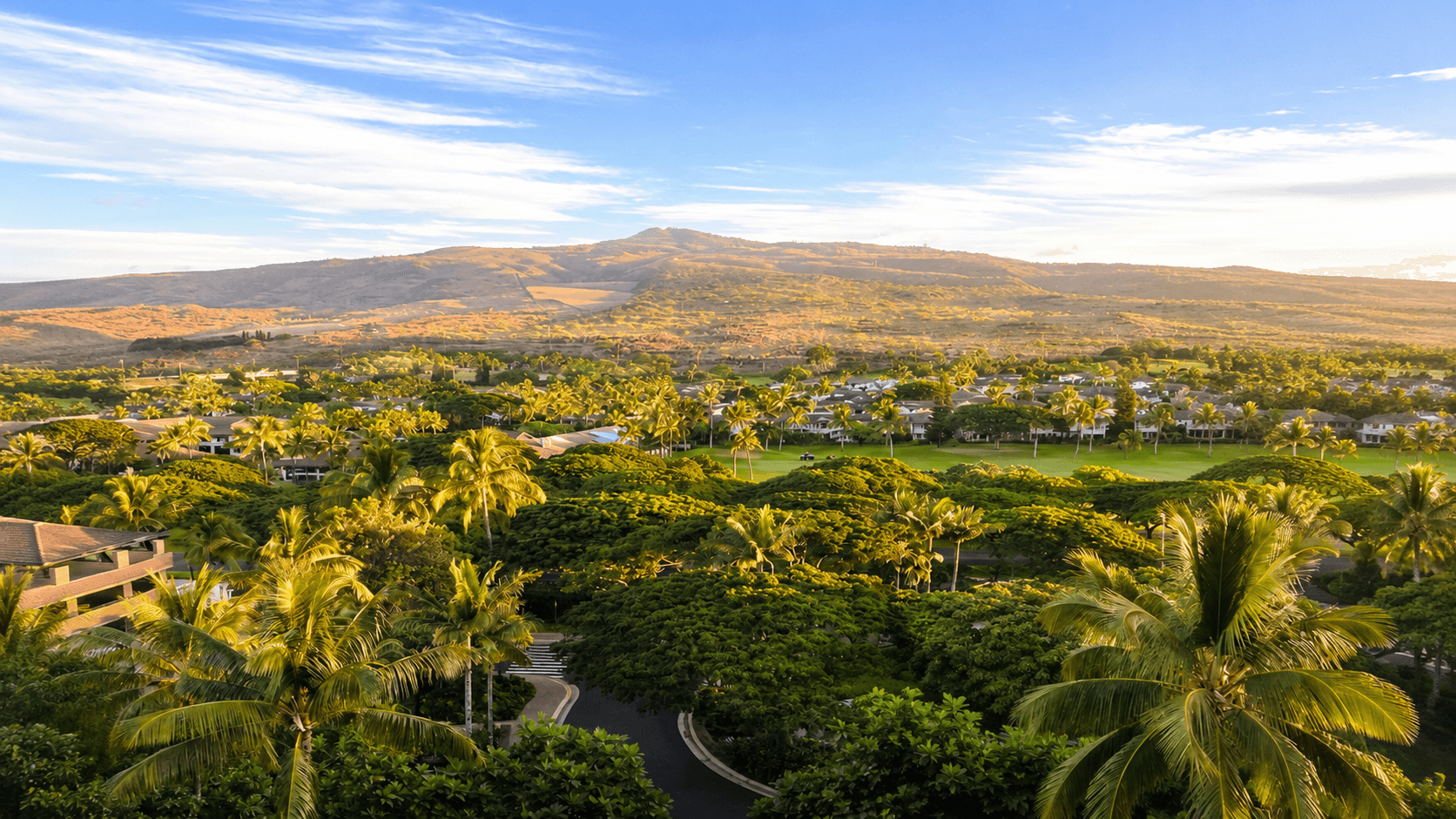 Scenic view of Maui, Hawaii, showcasing lush greenery and a clear blue sky over the ocean.