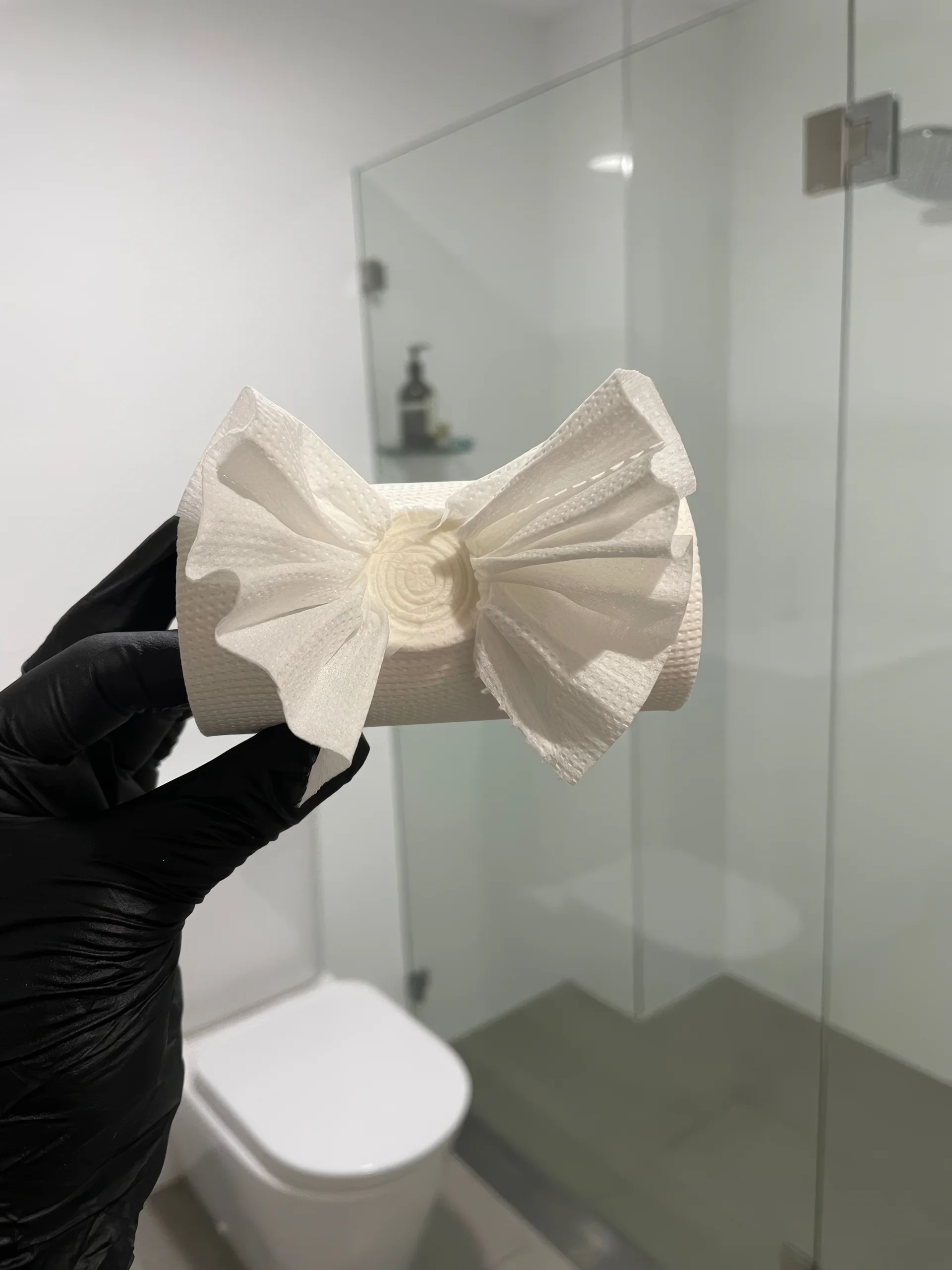 Milwaukee cleaner showing off toilet paper tidy design