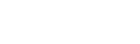 WriteControl Logo