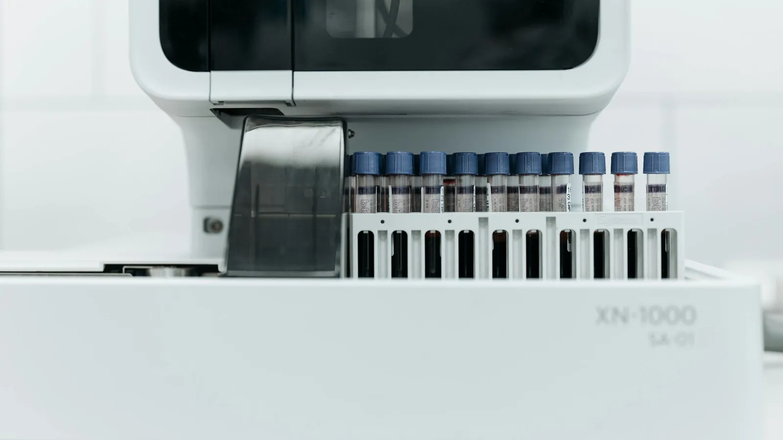 What Is a WBC Differential?