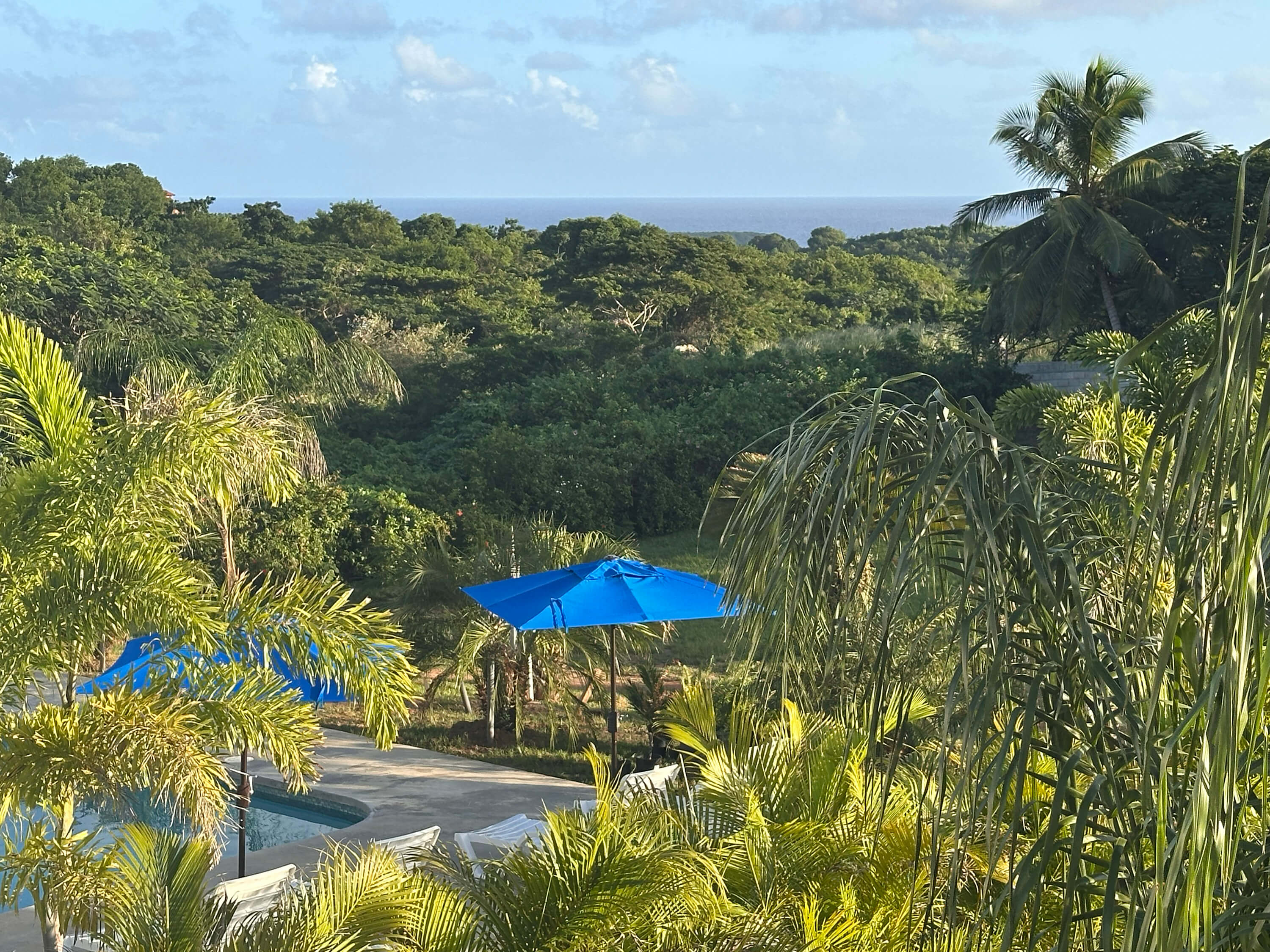 View of the tropical garden and pool from Club Vieques Room 10 balcony