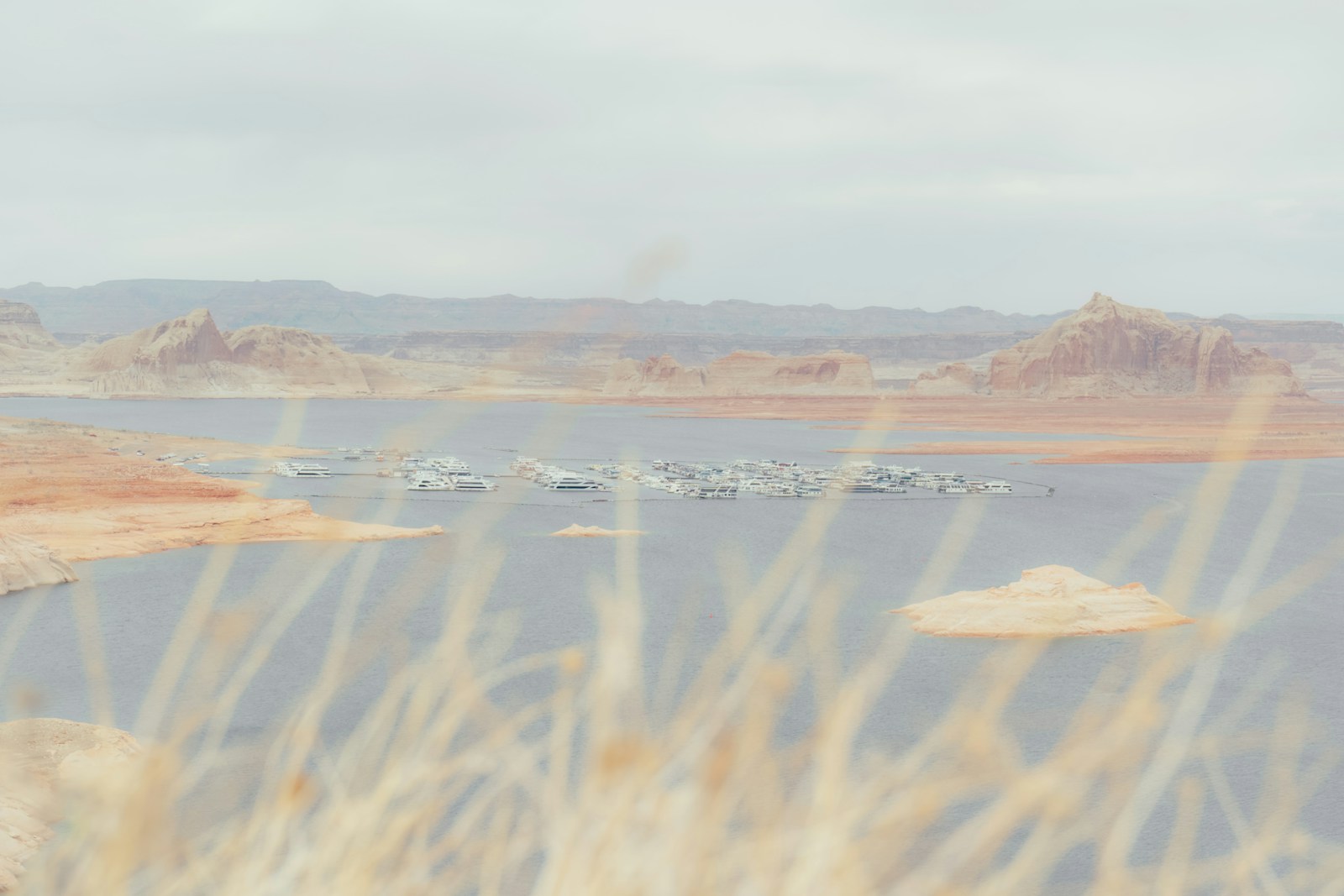 Peak season on Lake Powell.