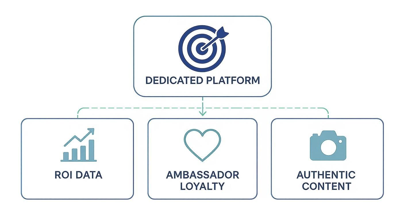 Infographic about brand ambassador software
