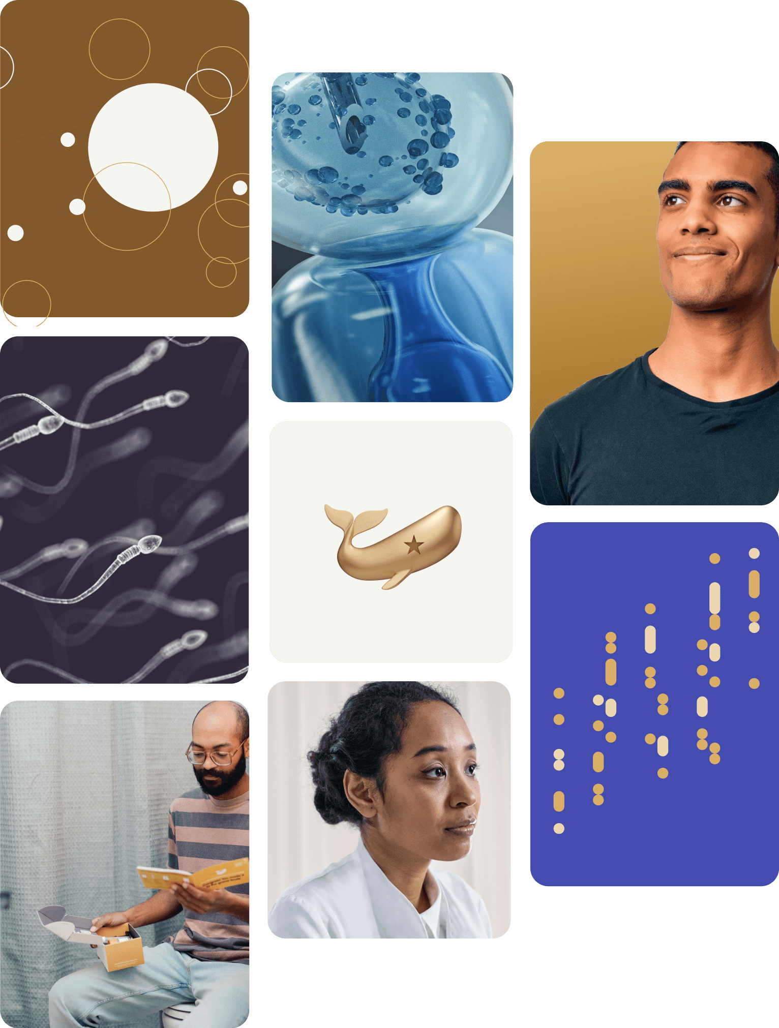 Several images of sperm, testing materials, doctors, and patients surrounding a central image of the Fellow sperm whale logomark.
