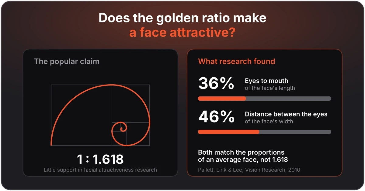 Golden ratio vs. research: what makes a face conventionally attractive