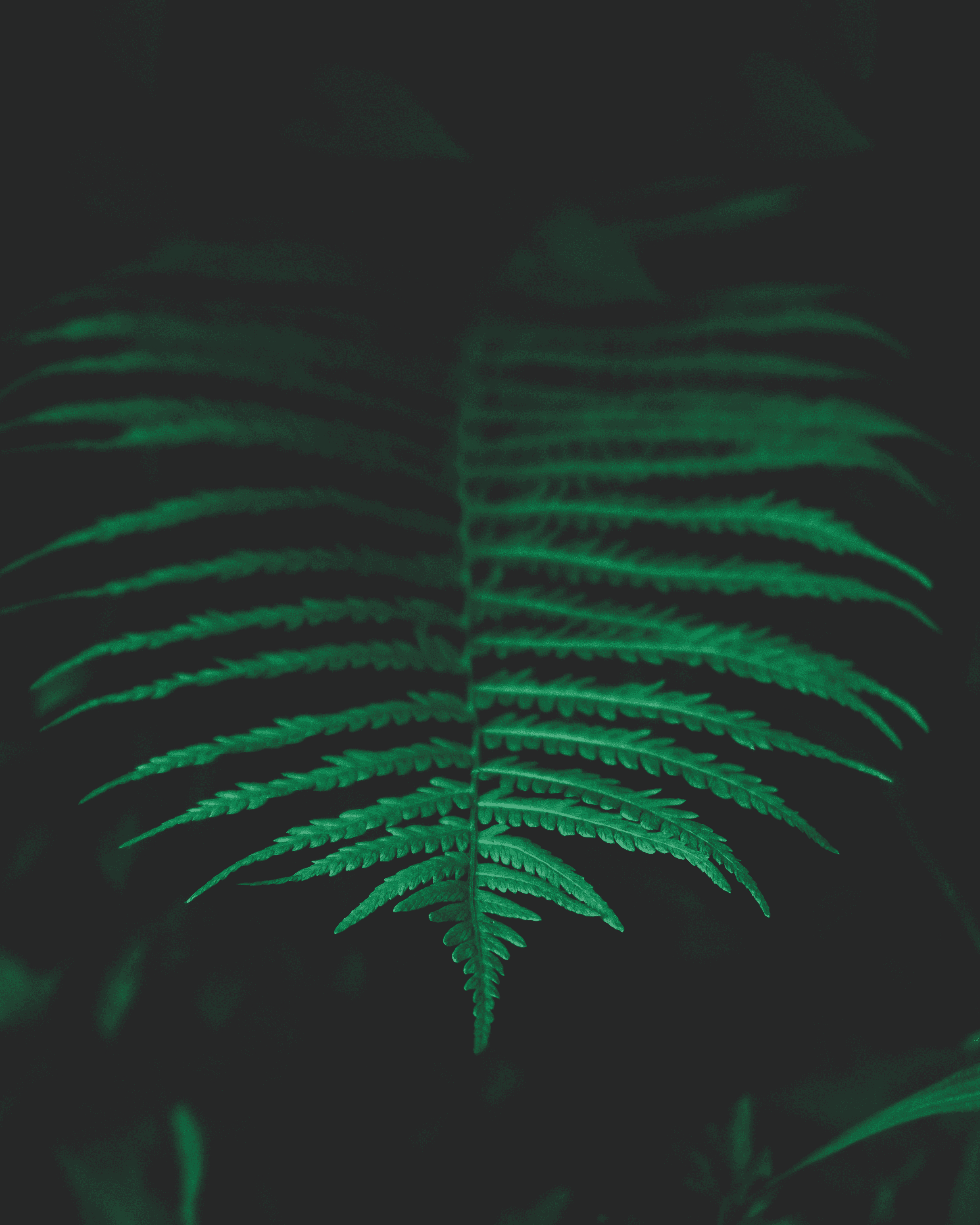 photography of people inside room during daytime