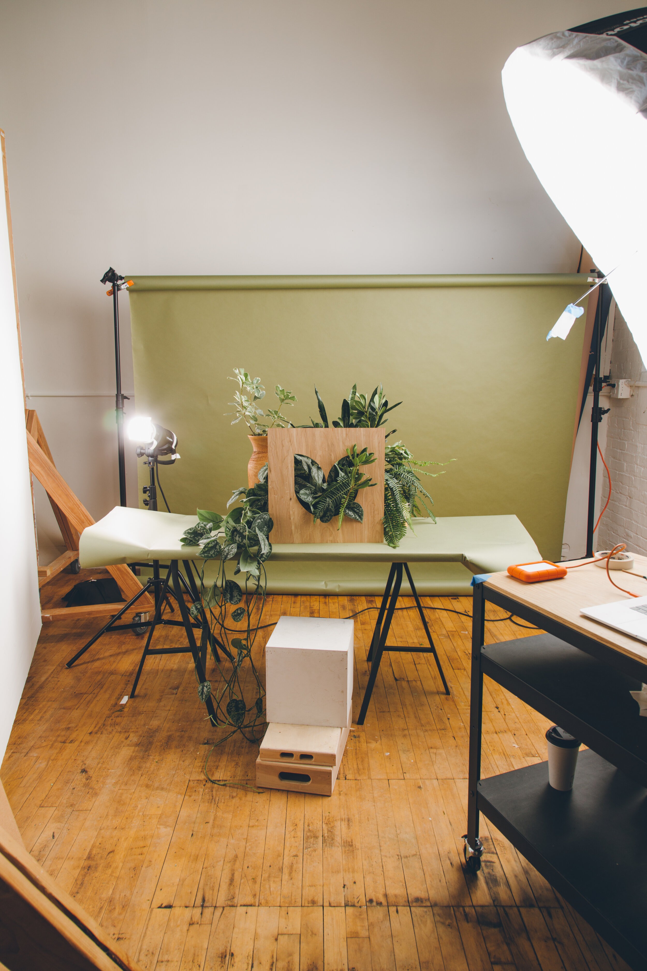 Behind the scenes: creating the Garden photography with real plants and physical sets
