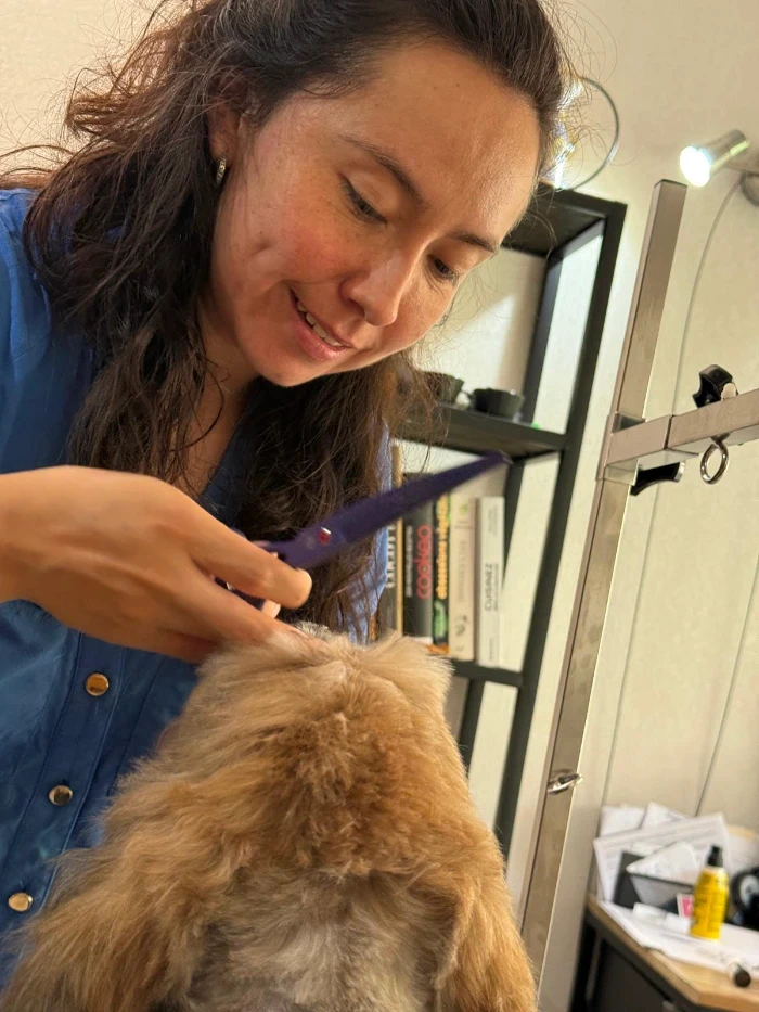 Shadogs - Toilettage canin à Nice