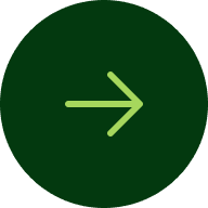 Next Arrow