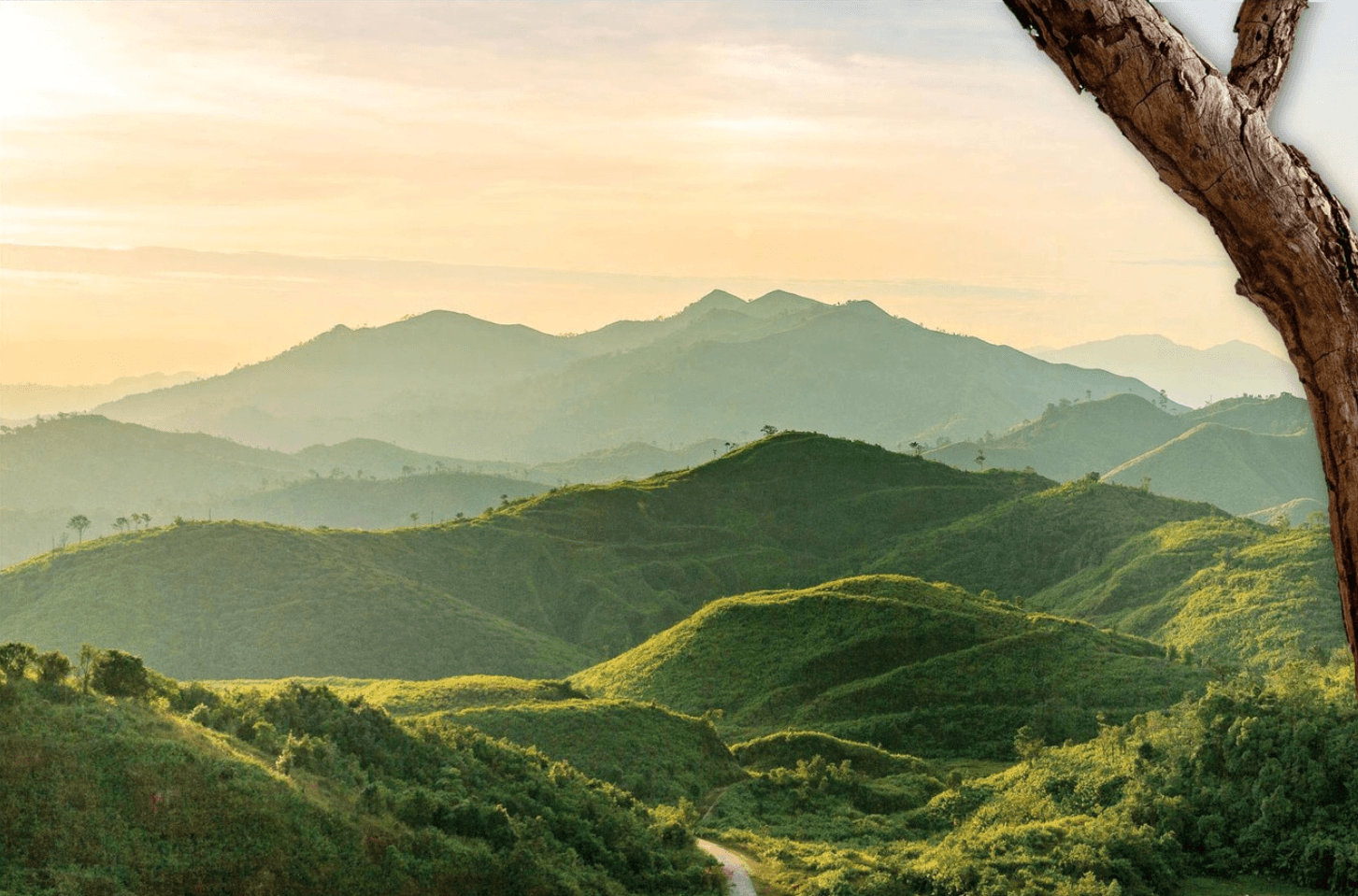 <img src="cinematic-mountains.jpg" alt="Lone tree standing against towering mountains under a moody sky, cinematic composition.">