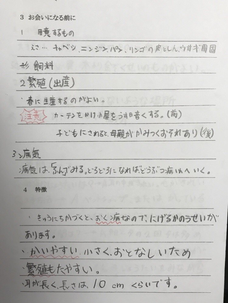 右往左往君への取説