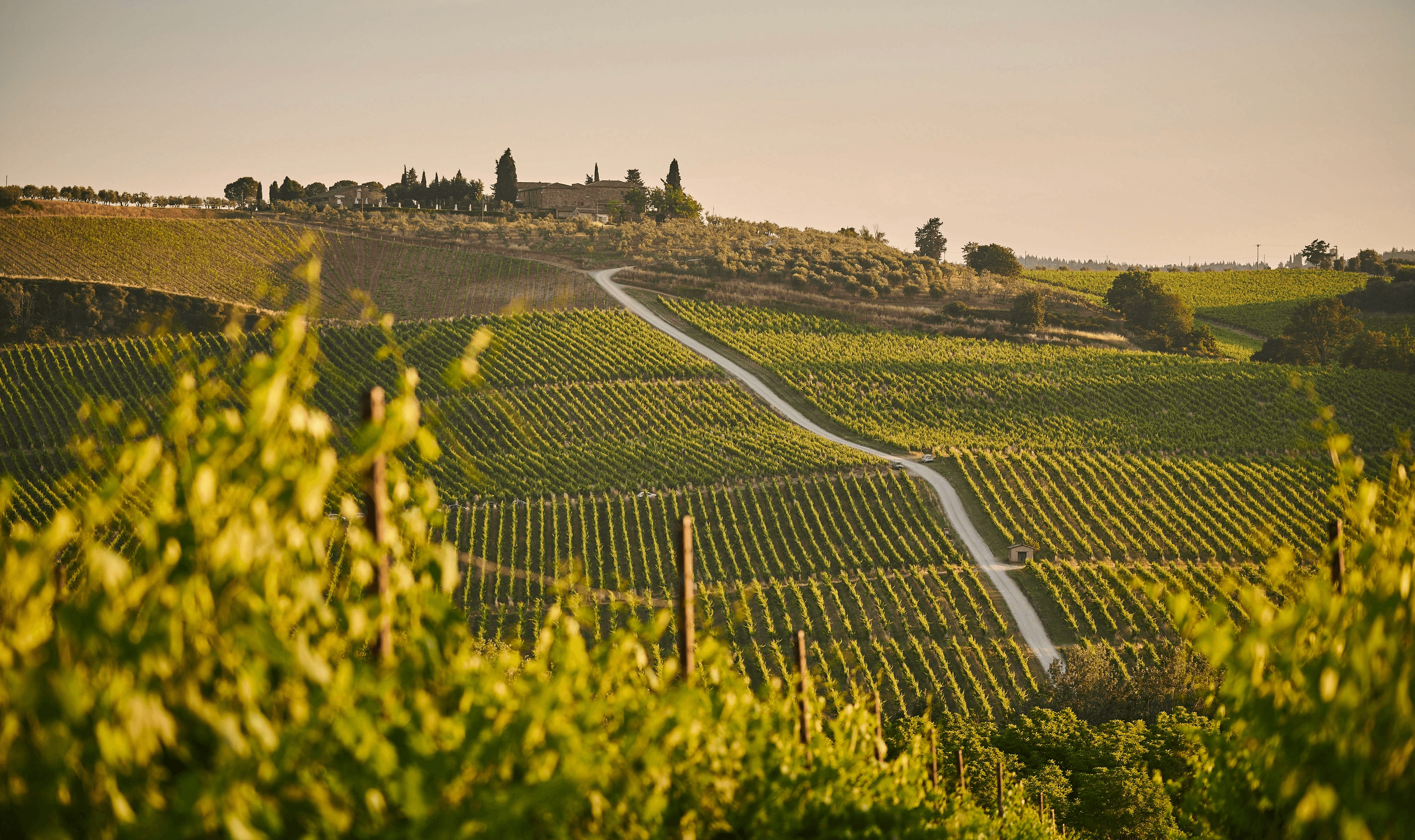 green grass field during daytime