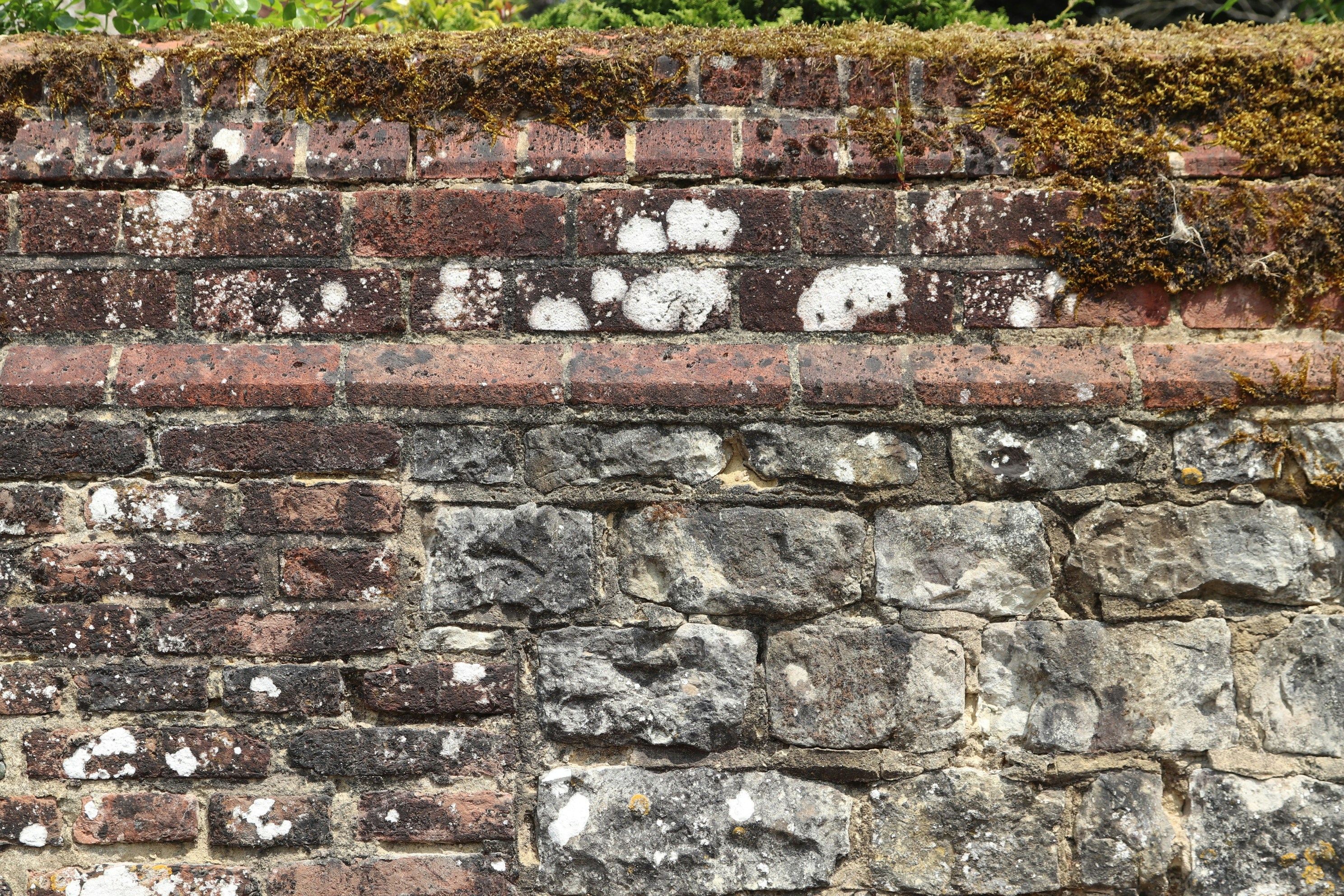 Mauer aus Beton, Stein und Ziegeln (Photo: Tanya Barrow)