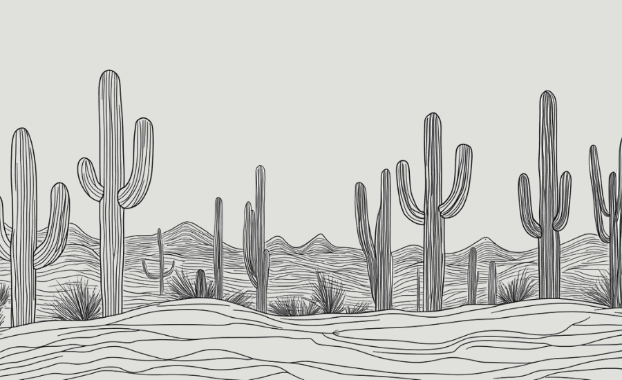 illustration of Saguaro