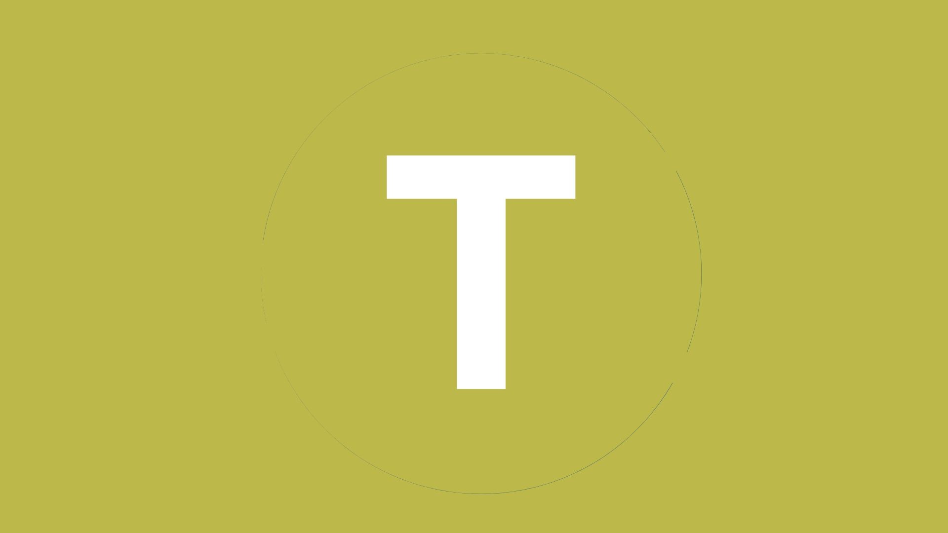 Sarah L., Marketing Consultant