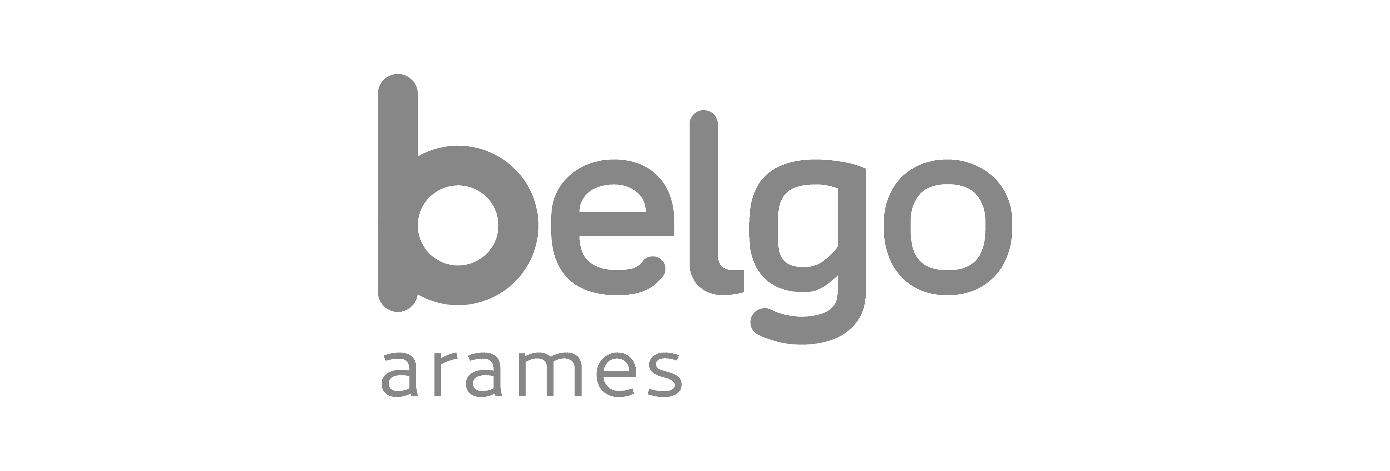 Logo Placeholder