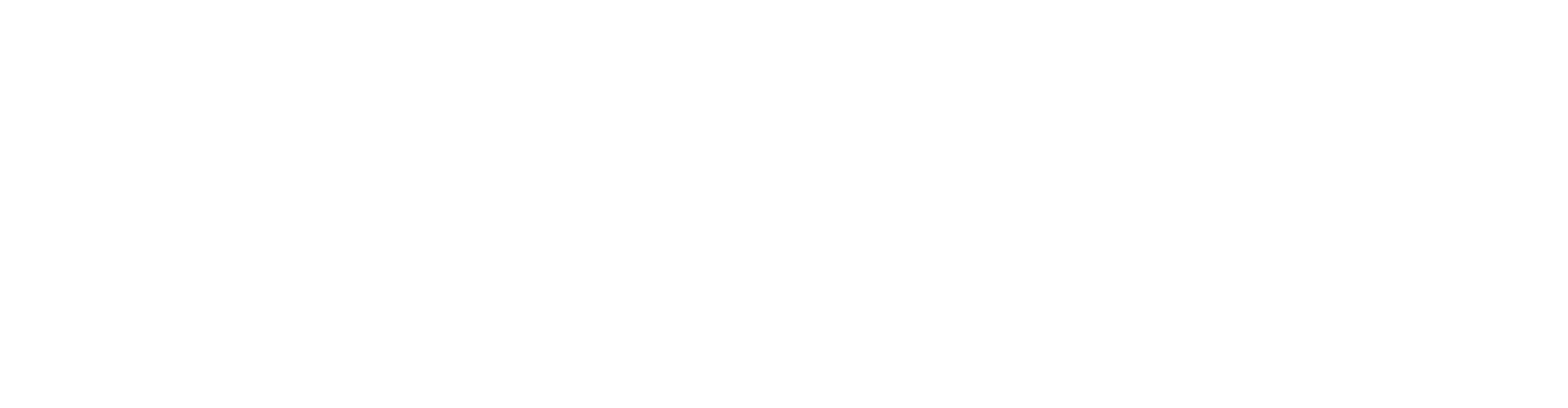 The Striatic logo.