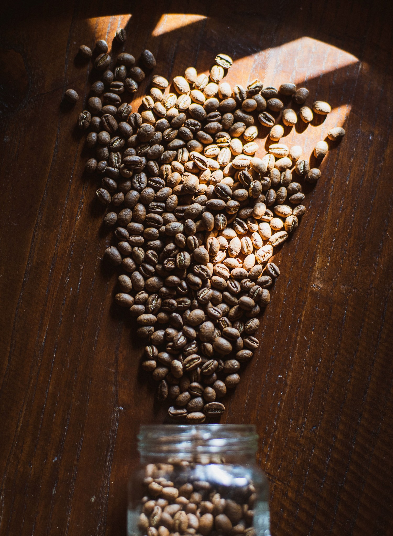 Batch.Works product catalogue book on a work top with a graphic printed image on the front