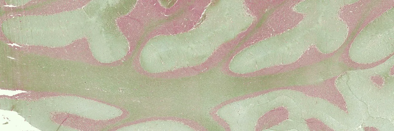 Abstract pattern featuring soft, muted colors in swirls and shapes. Ideal for backgrounds or artistic design.