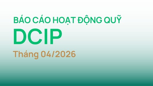 Thumbnail Articles - Báo cáo quỹ DCIP tháng 4