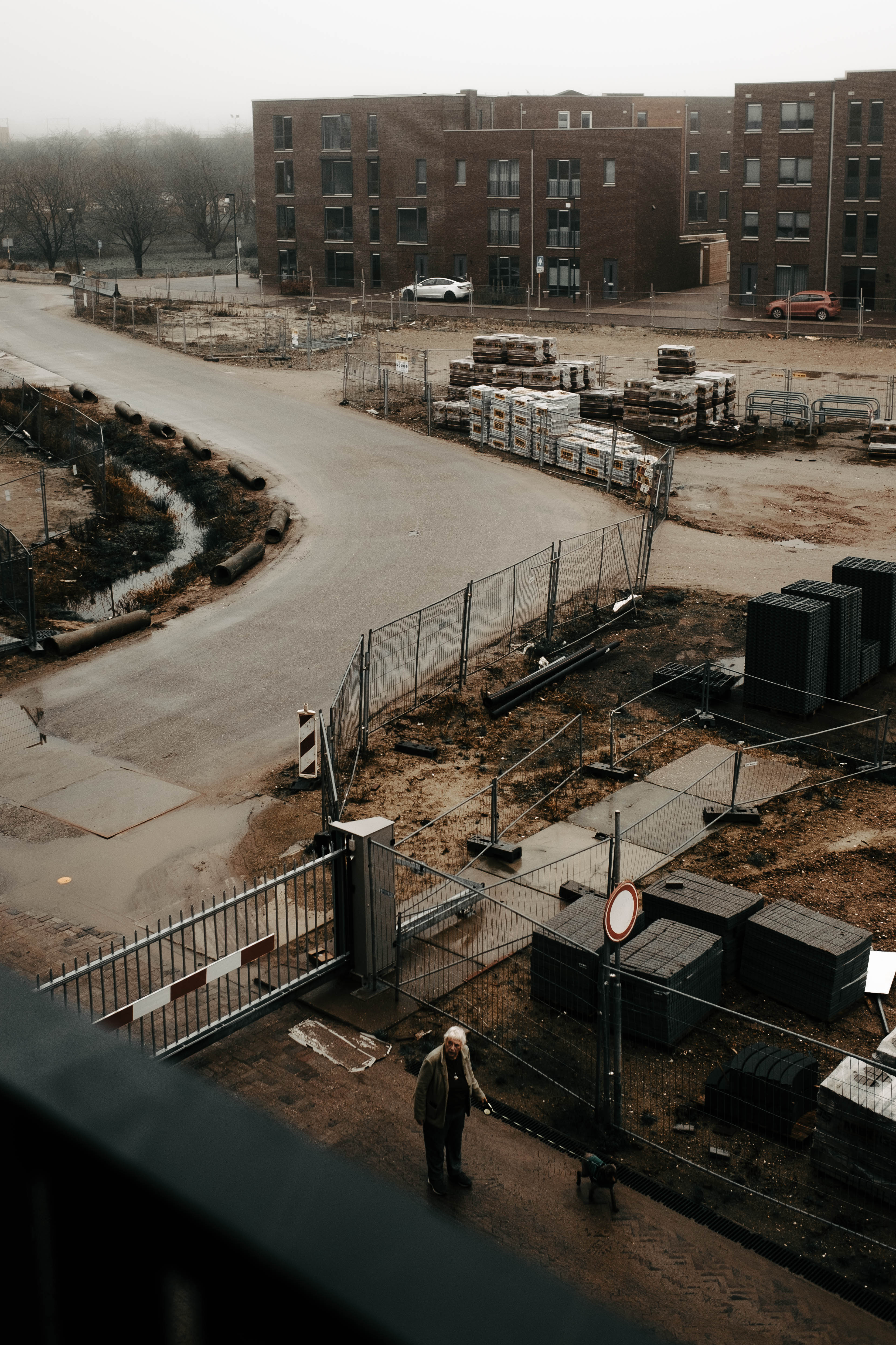 Walker with her dog in a street under construction