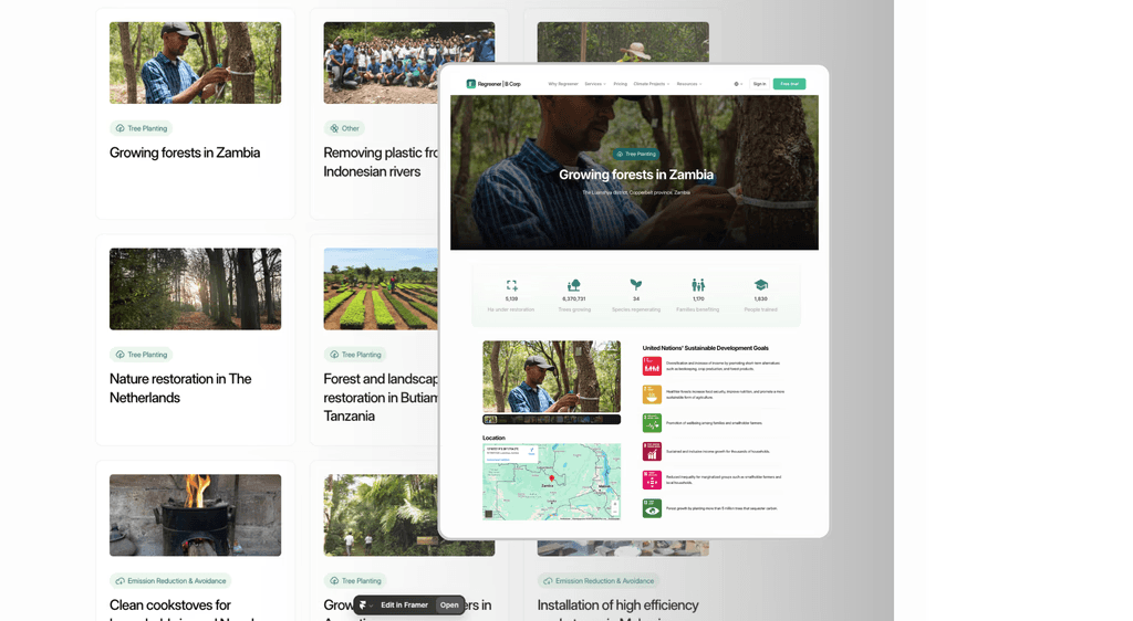Overvieuw of impact dashboard that is used to track the sustainability impact made 