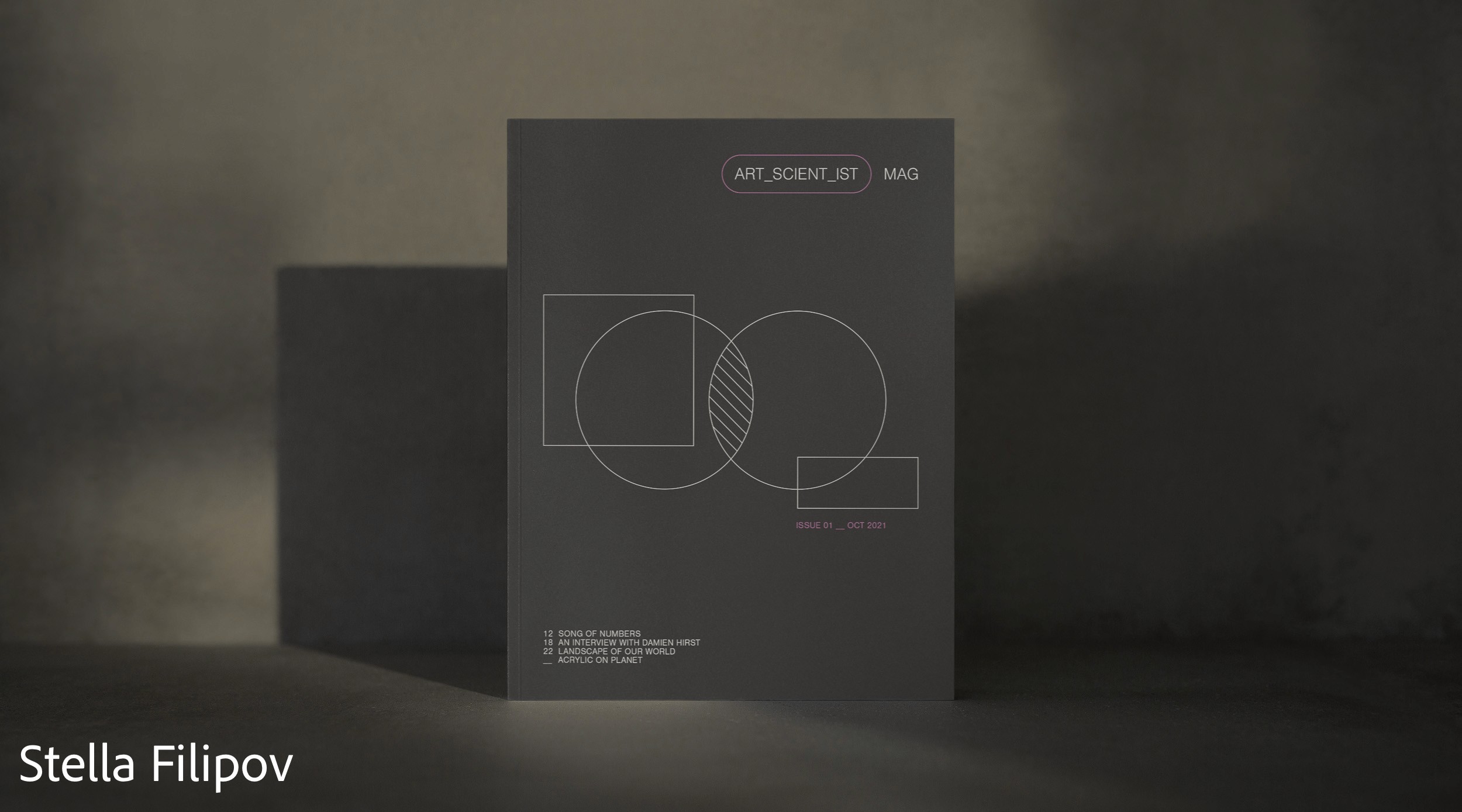 magazine cover white text on grey background by Stella Filipov