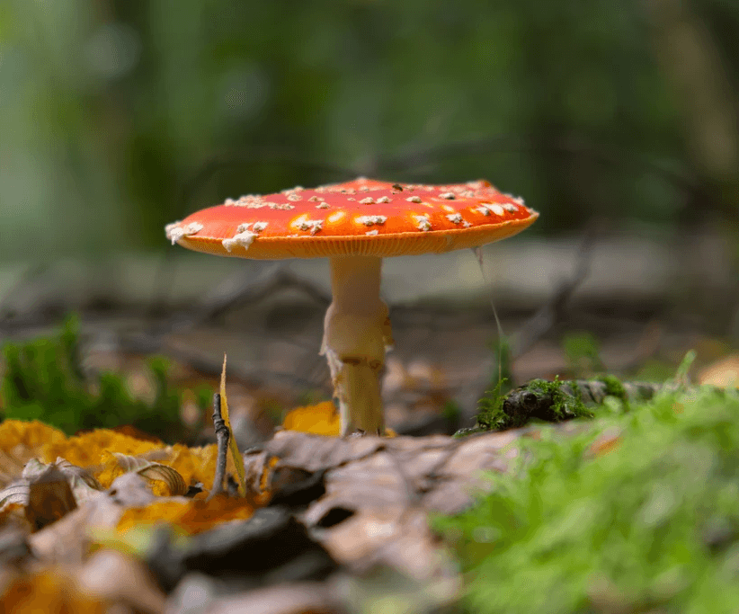 Modern building with a balcony against clear sky