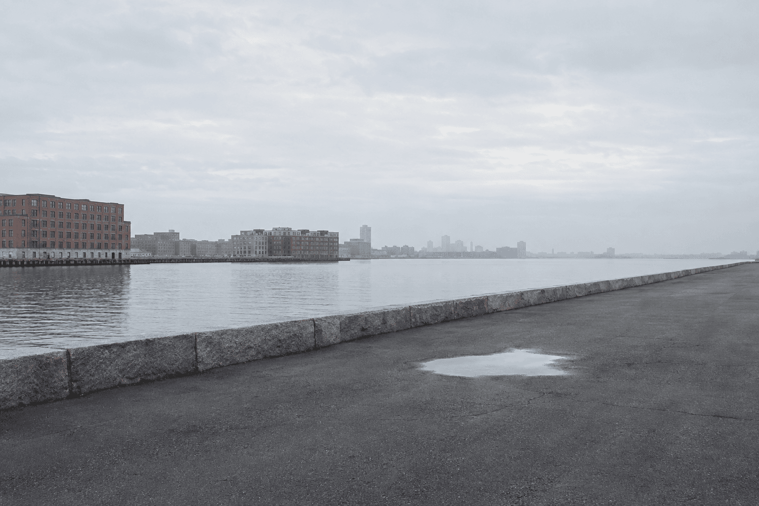 Exposed Waterfront, 2019