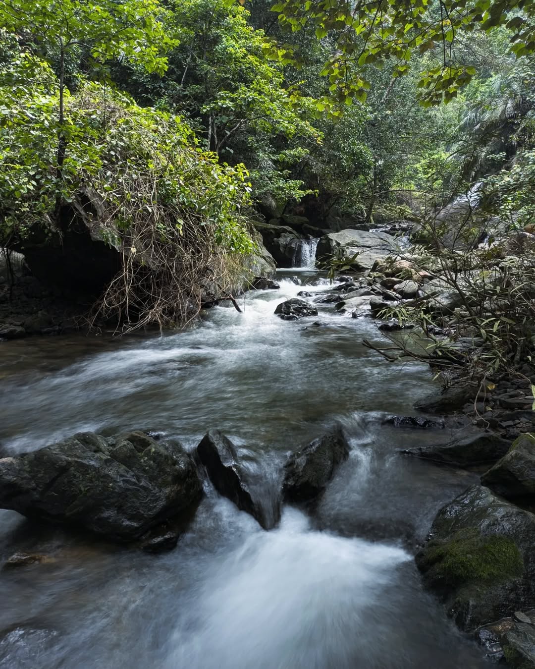 Meenvallam Waterfalls, a scenic cascade in Palakkad, Kerala, surrounded by lush greenery and flowing through rocky terrain, creating a serene and natural retreat.
