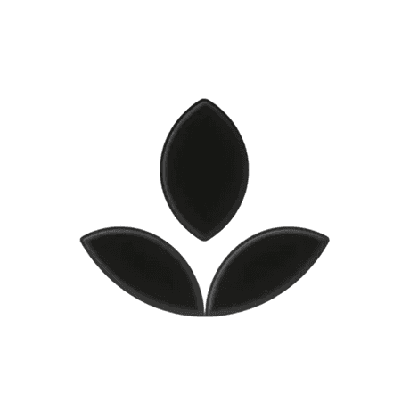 Emphasis app icon