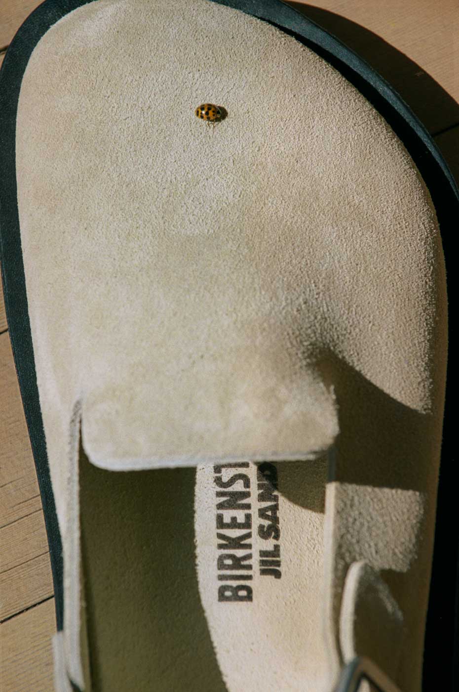 Close-up of suede sandal insole with "Birkenstock Jil Sander" branding and a small ladybug on it.