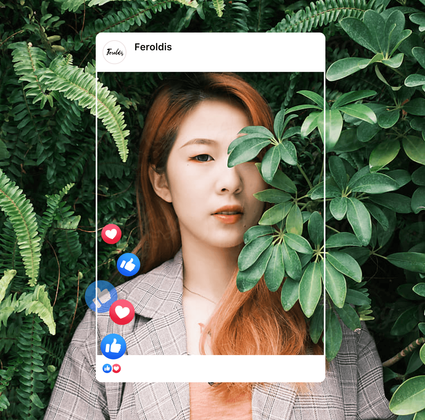 Féroldis — Facebook placement