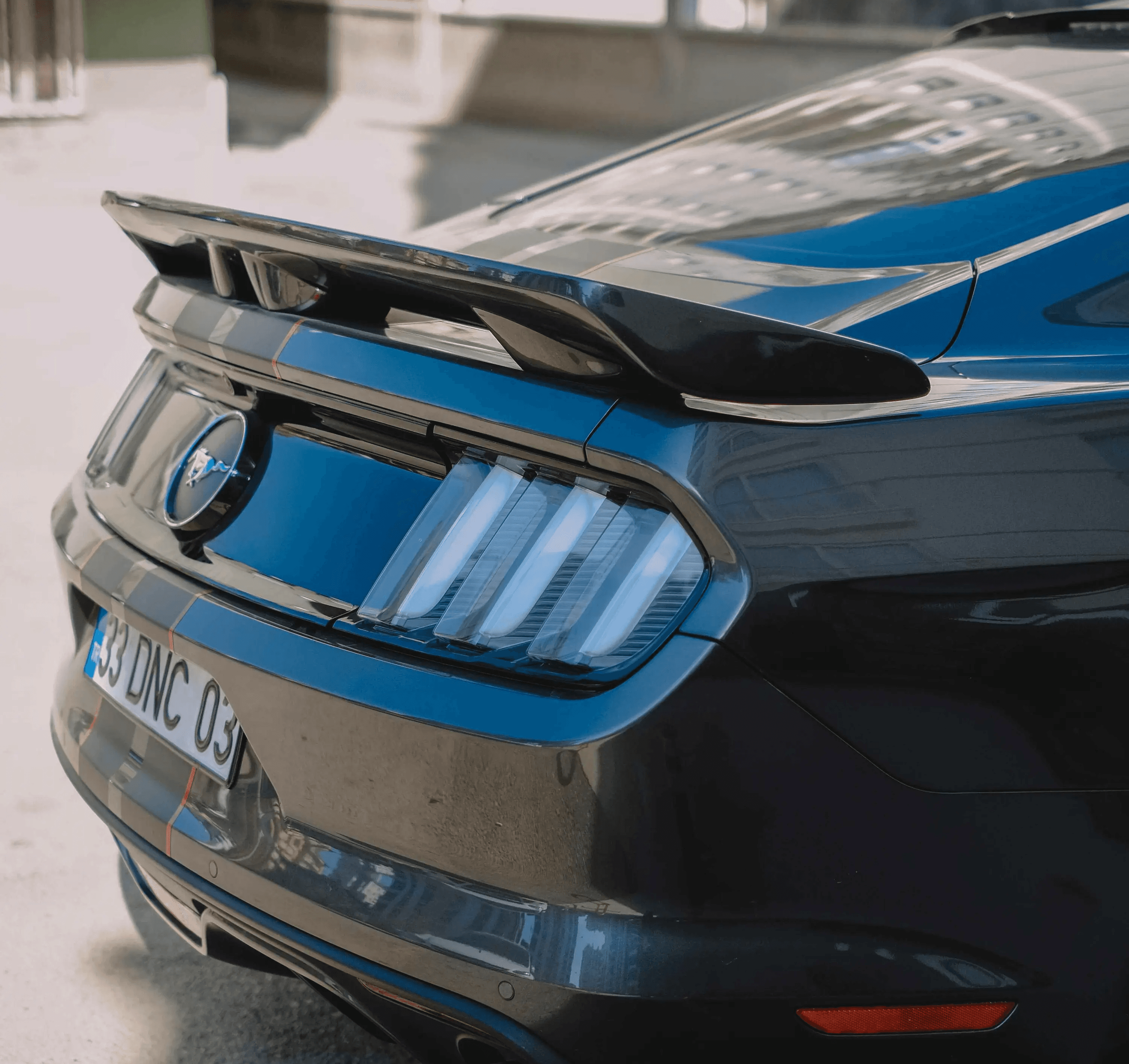 Rear view of a black Ford Mustang showcasing mirror-like paint clarity and gloss achieved through professional multi-stage paint correction and swirl removal.