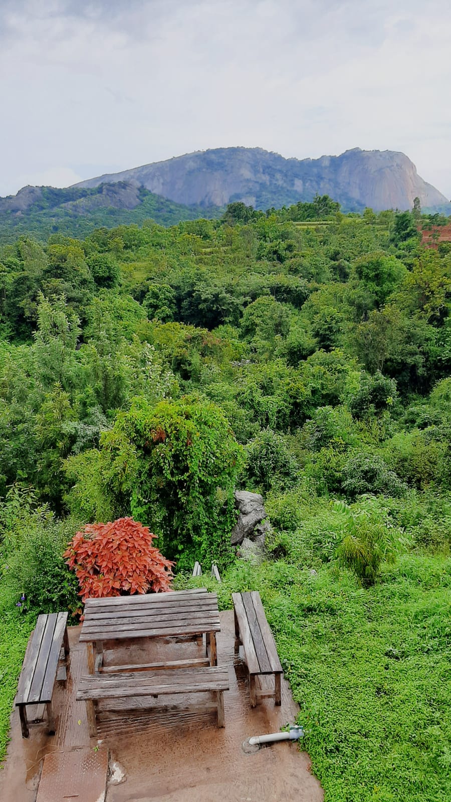 Hotel View