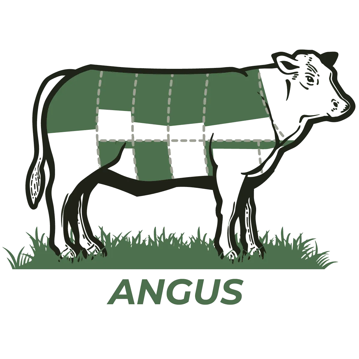 Angus cattle cut chart — half beef share outlined