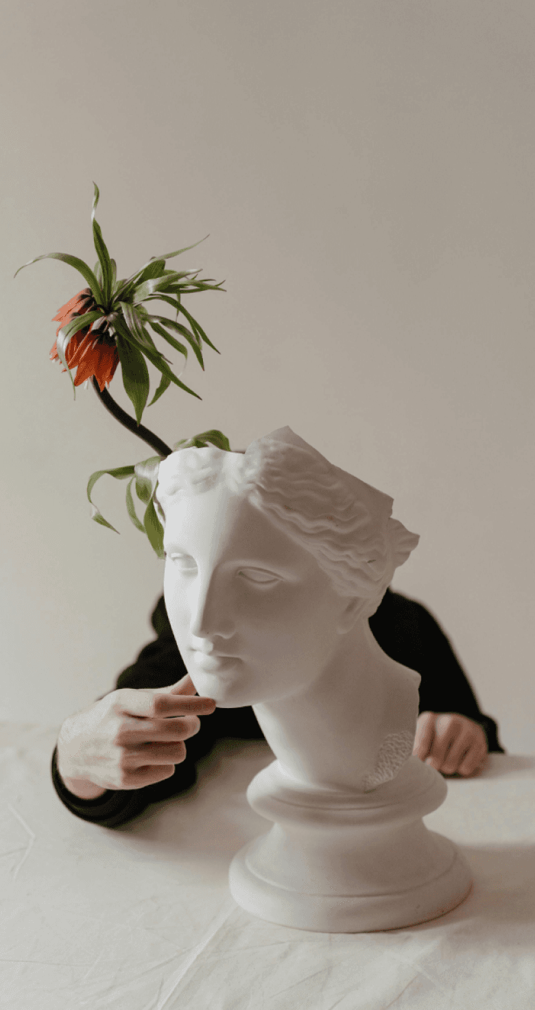 A white plaster bust sculpture with an orange flower placed on top, partially obscured by a hand, creating a minimalist and contemplative visual composition