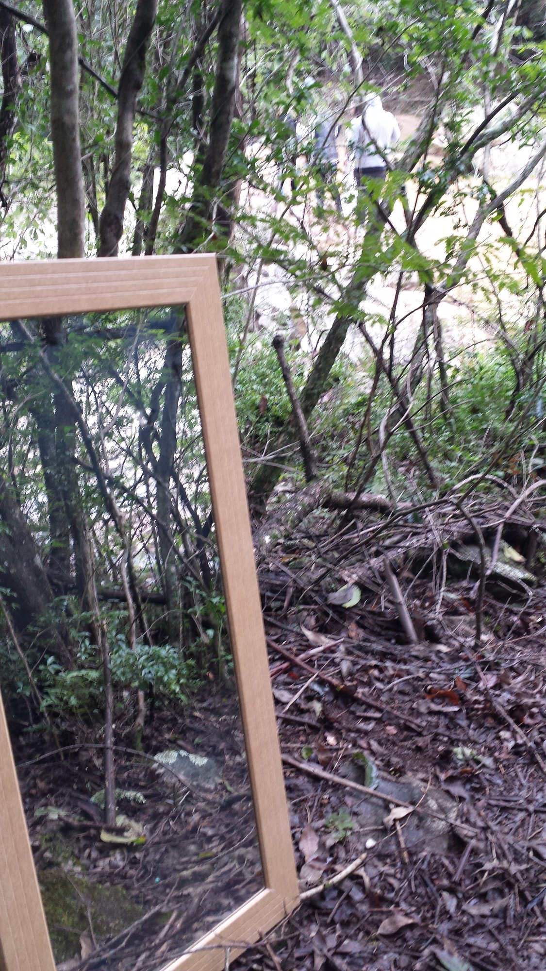 Moldura de madeira vazia apoiada na mata, vista de lado, durante o making of do primeiro monólogo
